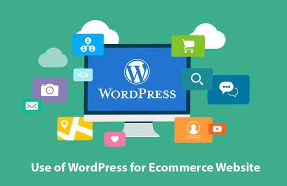 e wordpress1